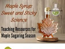math and science maple syrup