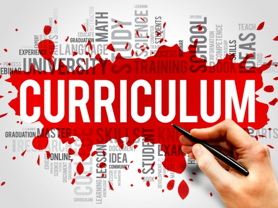 Curriculum